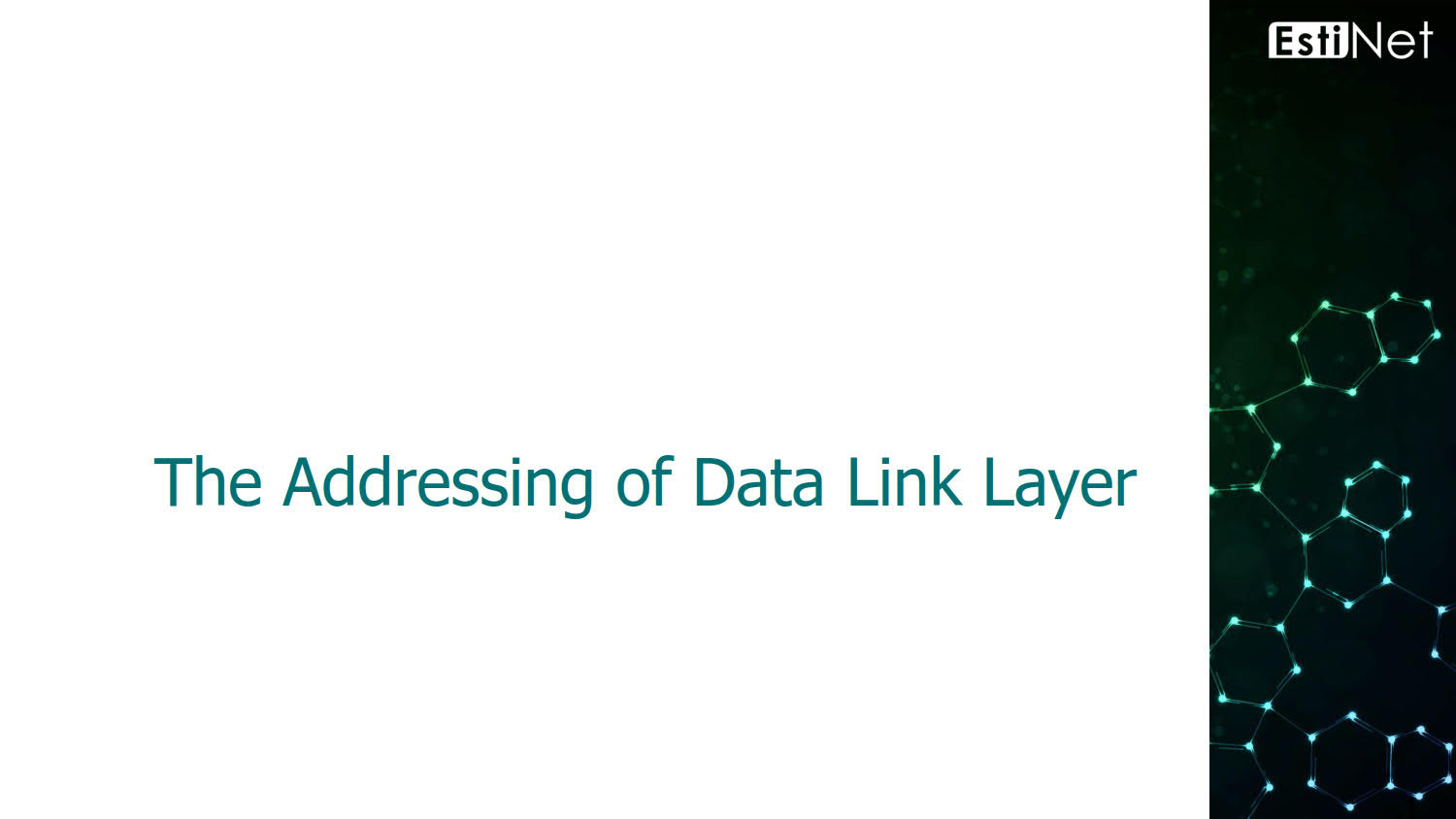 The Addressing of Data Link Layer AIGOAL